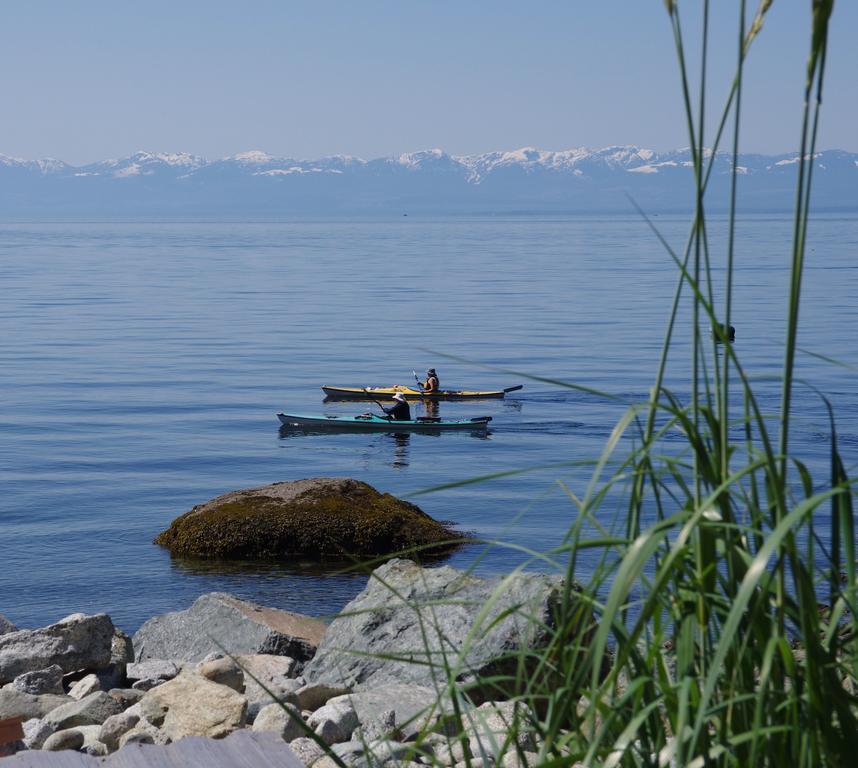 Blitz Beach House Oceanside Suite Powell River Buitenkant foto