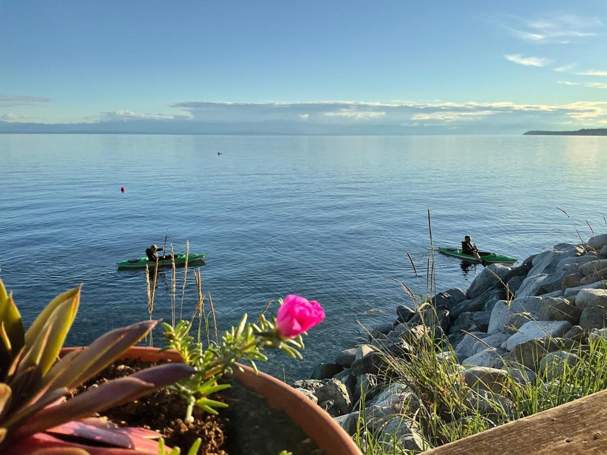 Blitz Beach House Oceanside Suite Powell River Buitenkant foto