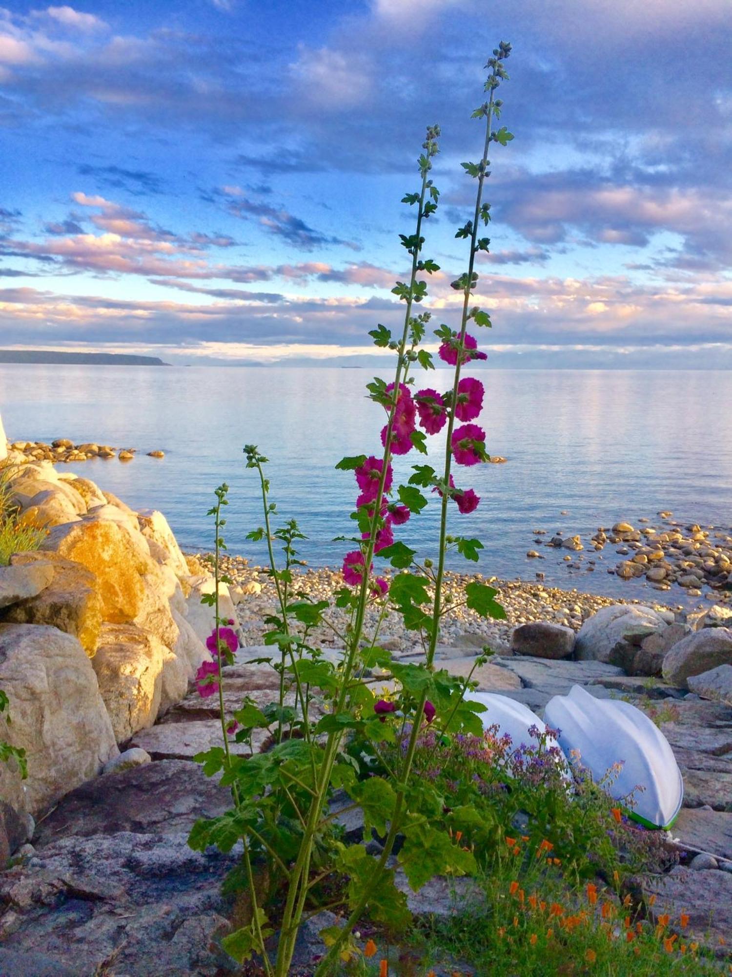 Blitz Beach House Oceanside Suite Powell River Buitenkant foto